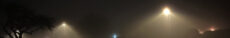 Lights in the Mist